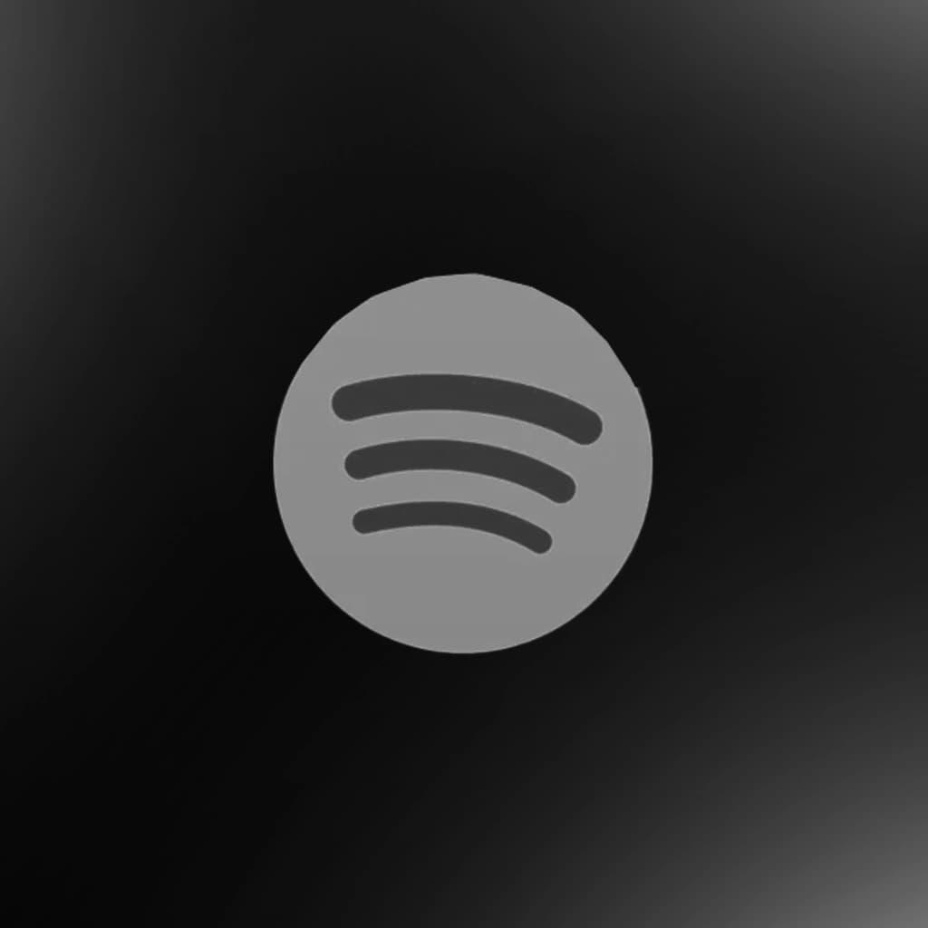 Spotify Lifetime Account