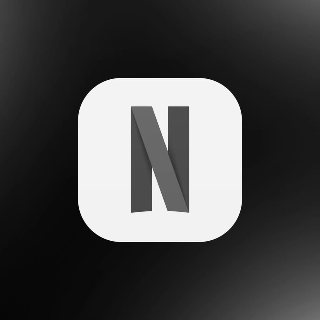 Netflix Account Lifetime